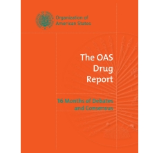 The OAS  Drug  Report  16 Months of Debates  and Consensus